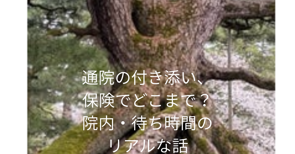 通院の付き添い、保険でどこまで？院内・待ち時間のリアルな話