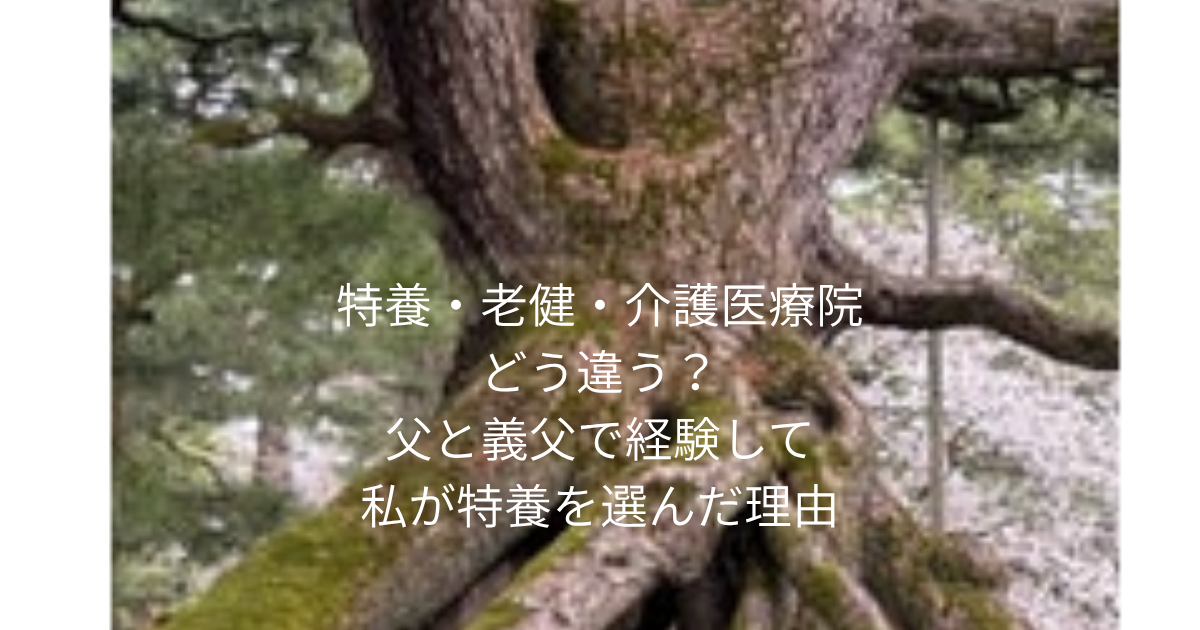 木の写真に白文字で「特養・老健・介護医療院 どう違う？ 父と義父で経験して私が特養を選んだ理由」