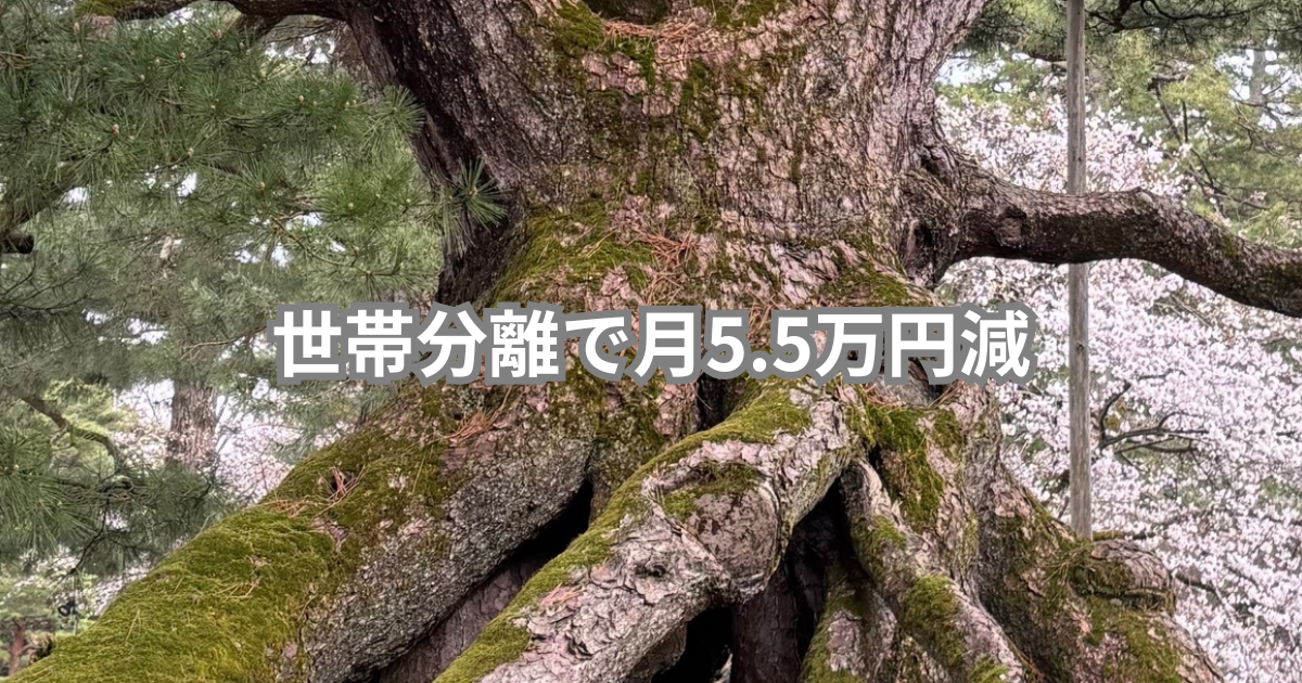 世帯分離で月5.5万円減