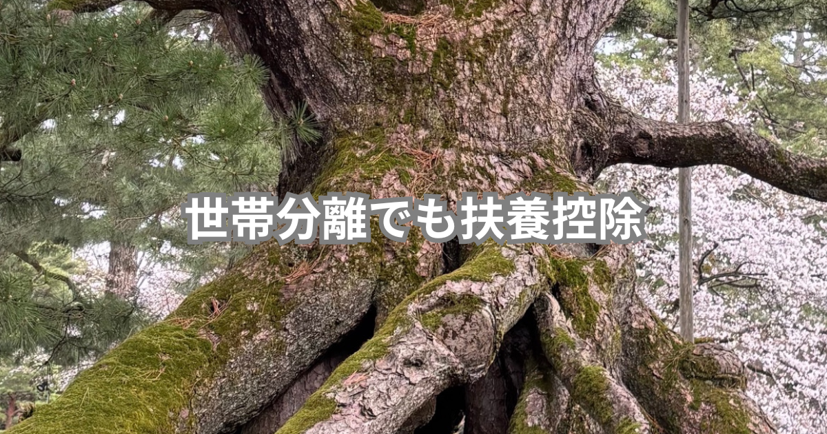 世帯分離でも扶養控除