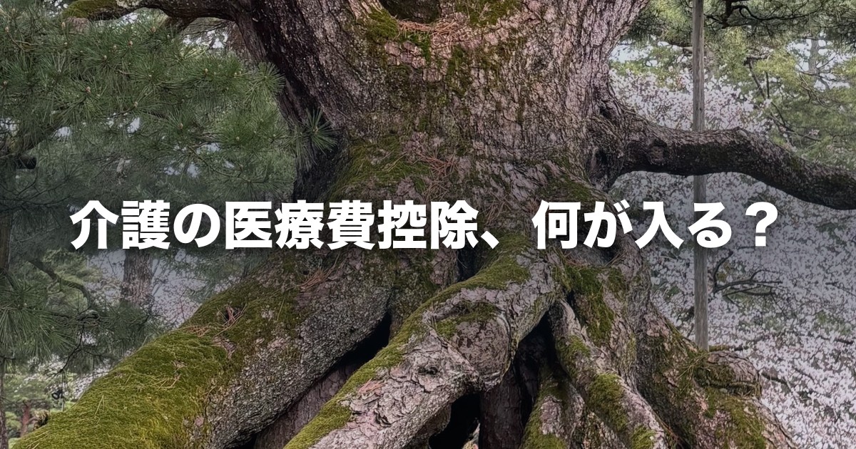 介護の医療費控除、何が入る？